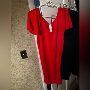 Charming Charlie Dress size Medium color red. It hits above the knee